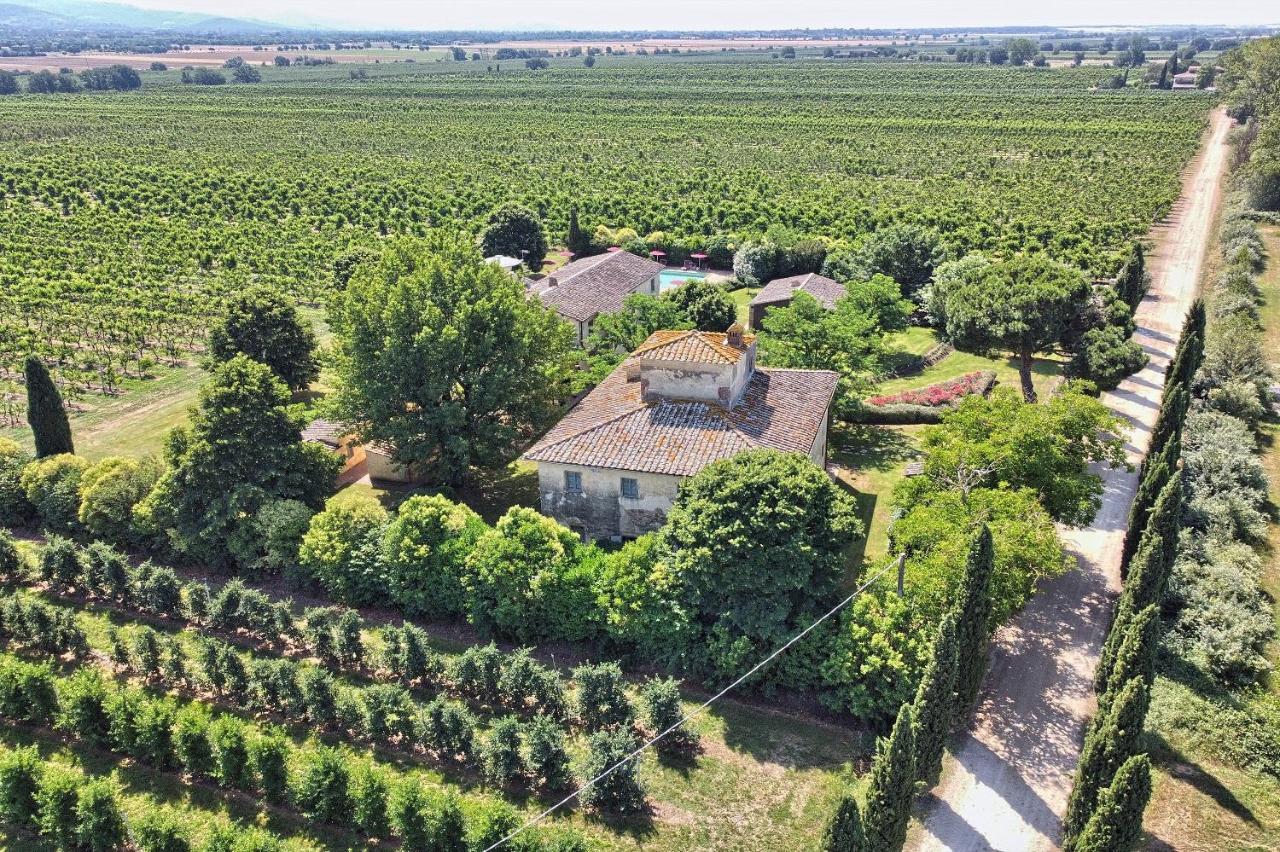 Foresteria Il Giardino Di Fontarronco Alberoro Екстер'єр фото